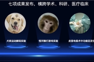 脑虎科技：聚焦新质生产力，增强发展新动能